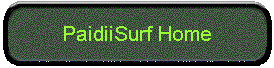  PaidiiSurf Home 