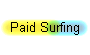  Paid Surfing 